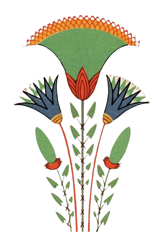 w700d1q75cms.png