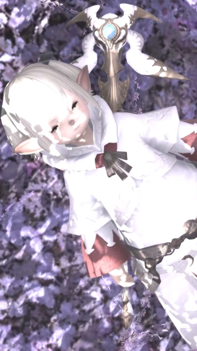 pasted_image_cropped.png